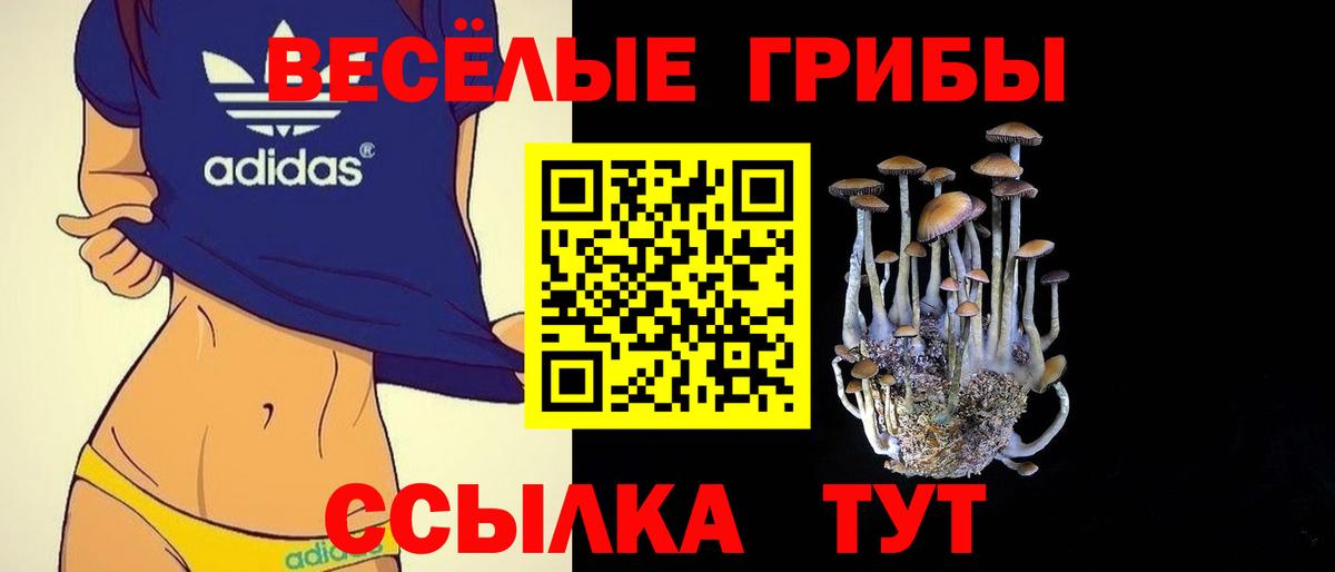 где купить наркоту  Псилоцибиновые грибы мицелий  Вход с VPN  Советская Гавань 